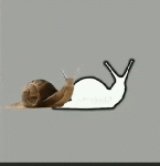 atrapando el caracol