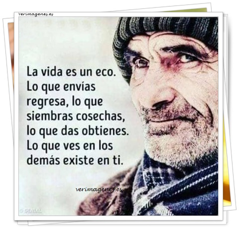 Imagen de La vida es un eco