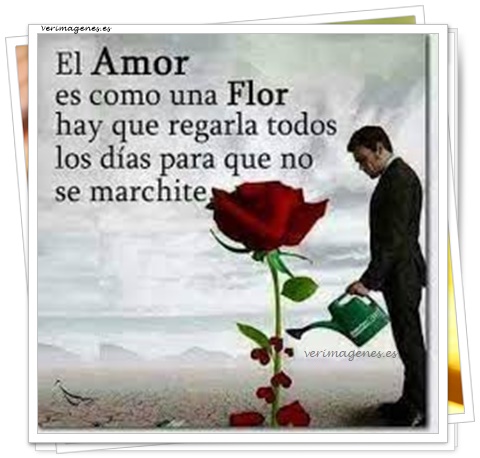 Imagen de El Amor Es Como Una Flor