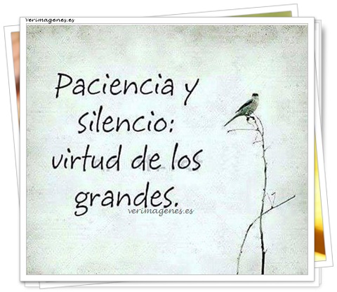 Imagen de Paciencia Y Silencio