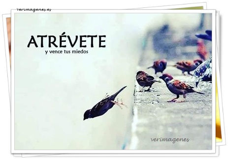 Imagen de Atrévete Y Vence
