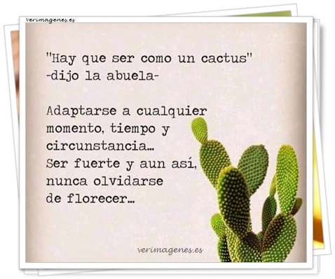 Imagen de Hay Que Ser Como Un Cactus