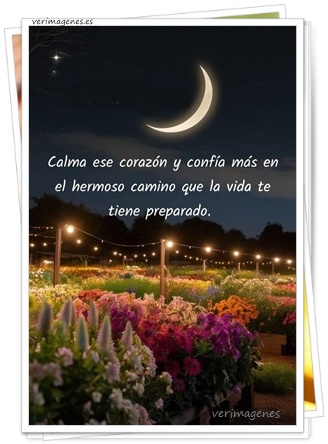 Imagen de Calma ese corazón y confía más
