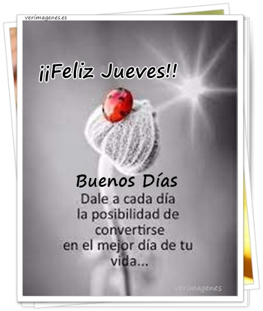 Imagen de ¡Feliz Jueves! La semana avanza con energía y buenas vibras