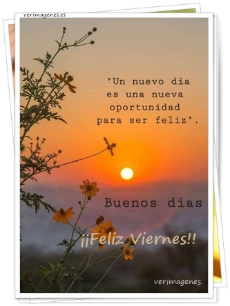 Imagen Feliz viernes, equipo: una semana más de logros