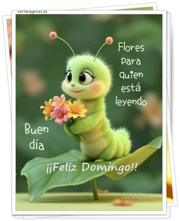 Imagen Feliz Domingo: Que Hoy Sea un Día Perfecto para Ti