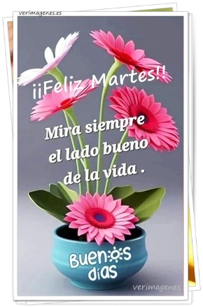 Imagen de Feliz Martes. Dios Te Bendiga Este Día Con Paz Y Propósito