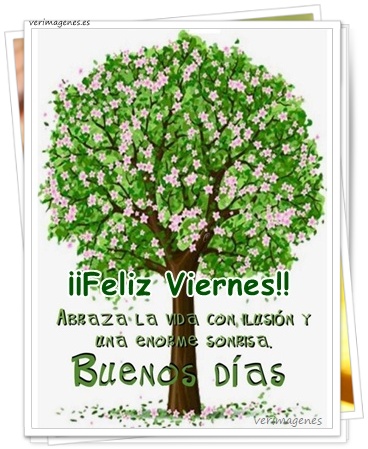 Imagen de ¡Feliz Viernes! Cada Día Es Una Nueva Oportunidad, Y Hoy Es Perfecto Para Cerrar La Semana Con Actitud Positiva Y Gratitud. ¡Vamos Con Todo!