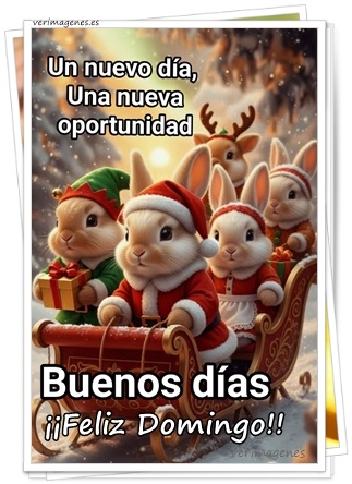Imagen de ¡Feliz domingo! Que tu día esté lleno de calma, amor y momentos especiales. Disfruta cada instante con el corazón tranquilo.