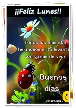 Imagen de Feliz Lunes, con gratitud, enfoque y determinación