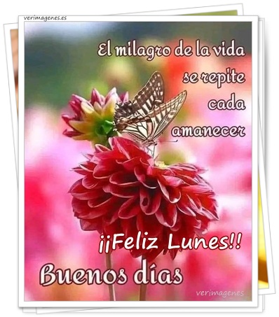 Imagen de Feliz Lunes!! No pares, sigue creciendo