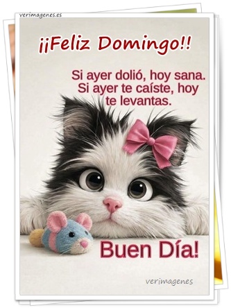 Imagen de Feliz Domingo. Solo Vibra Bonita Este Día