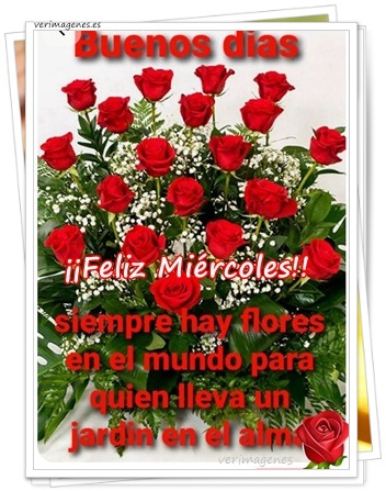 Imagen de Feliz Miércoles. Mitad De Semana… Resistiendo