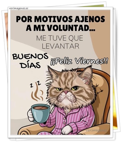 Imagen de Feliz Viernes. Hoy Es El Día Perfecto Para Agradecer Lo Vivido, Aprender De Lo Recorrido Y Prepararte Para Un Fin De Semana Lleno De Nuevas Oportunidades