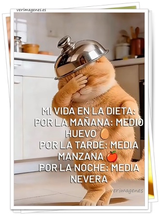 Imagen de Mi Vida En La Dieta Por La Mañana