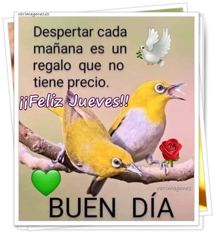 Imagen de Feliz Jueves. Hoy Es Un Buen Día Para Avanzar Un Paso Más