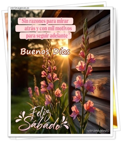 Imagen de Feliz Sábado. Que Este Nuevo Día Llegue Cargado De Alegría, Paz Y Momentos Especiales