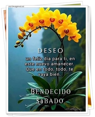 Imagen de Feliz Sábado. Hoy Toca Dejar Las Prisas A Un Lado