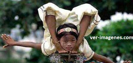 Imagen de Elasticidad