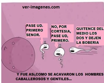 Imagen de Y fue asi, como ........