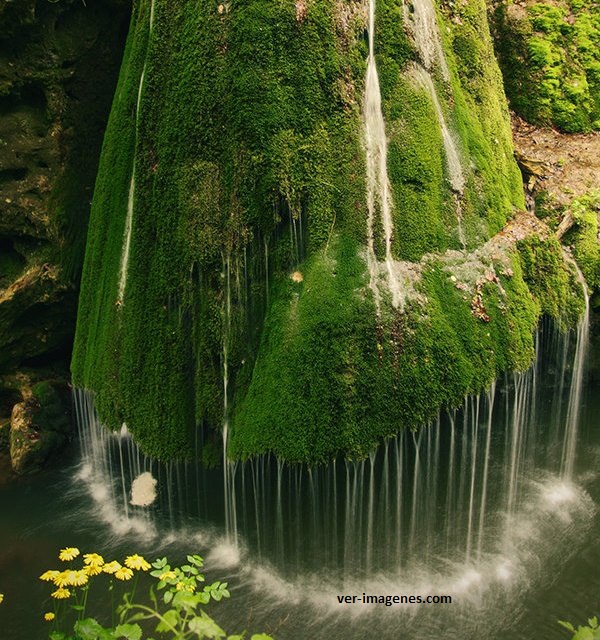 Imagen de  La Cascada Bigar, Caras-Severin En Rumania.