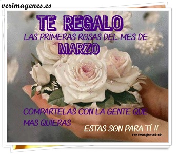 Imagen de Te Regalo, Las Primeras Rosas
