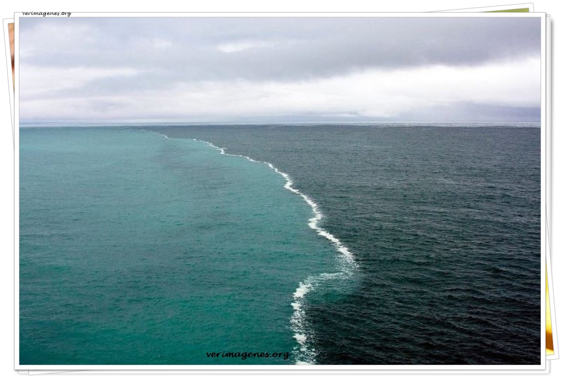Imagen de Reunión Del Mar Del Norte Y El Báltico En El Golfo De Alaska